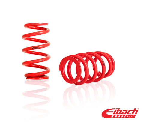 Eibach 2.5" ID XT Barrel Springs