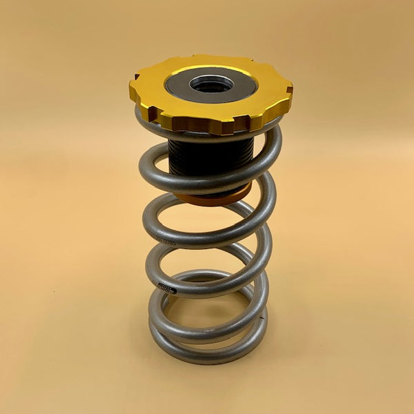 P80 AWD Adjustable Rear Spring Perches