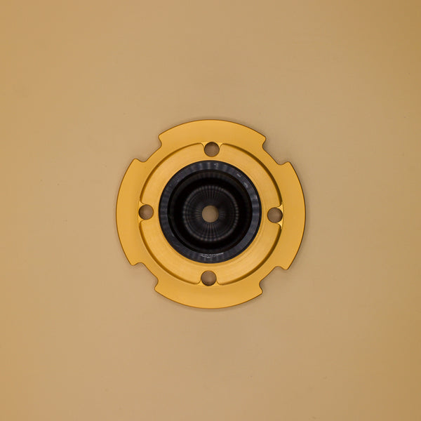 Rear Adjustable Spring Perch & Mount