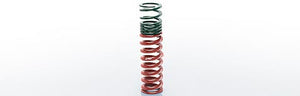 Eibach 2.5" Tender Springs